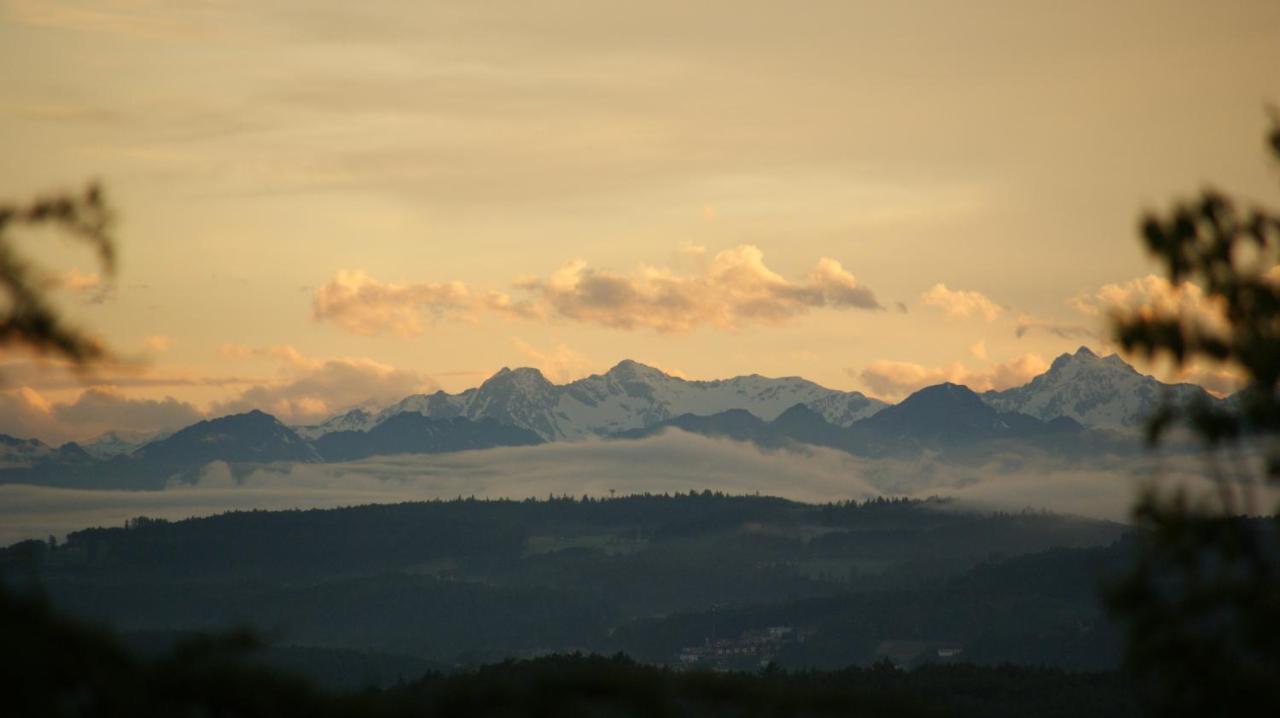 Treffhof Villa Siusi Oda fotoğraf