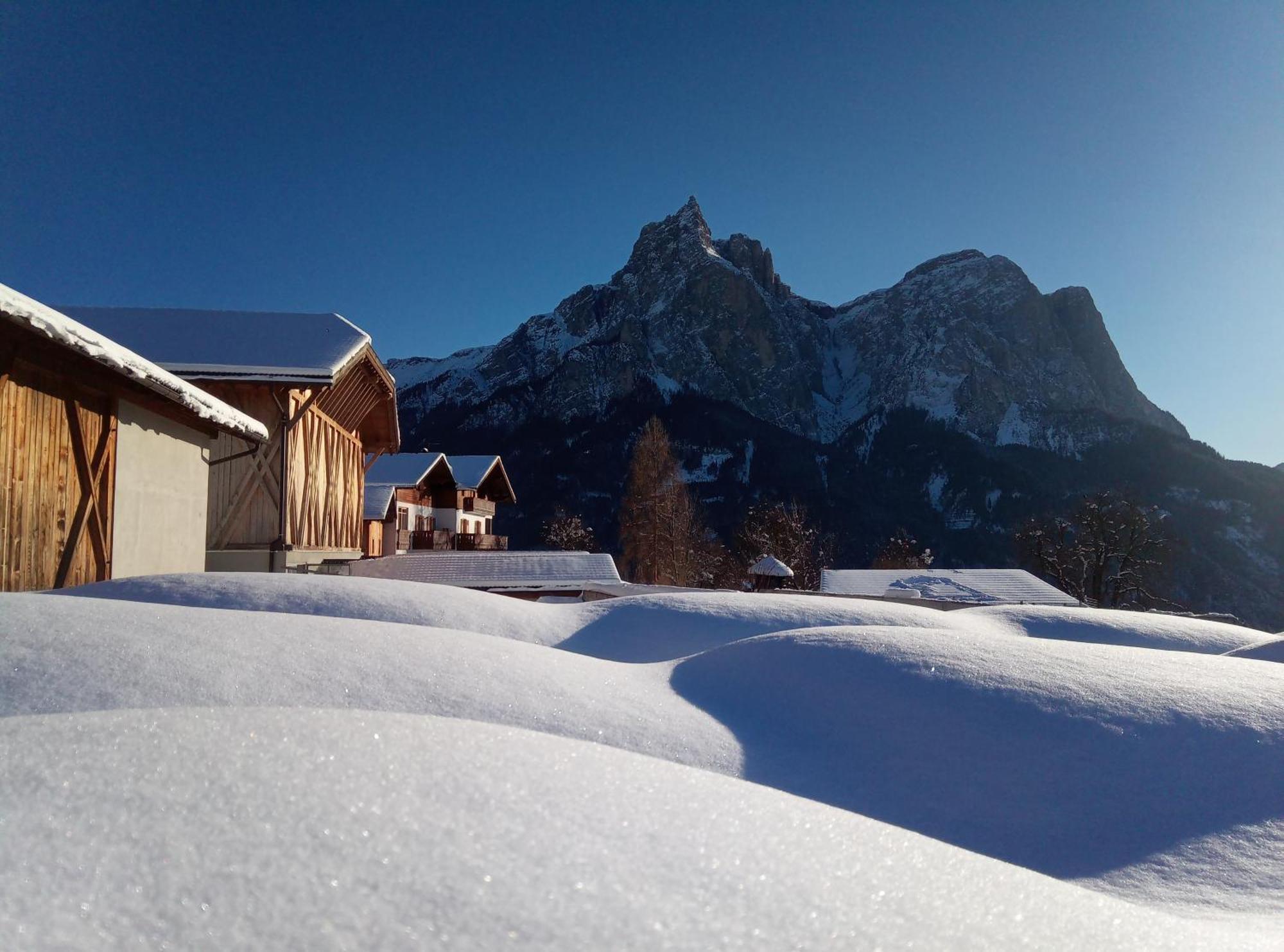 Treffhof Villa Siusi Oda fotoğraf